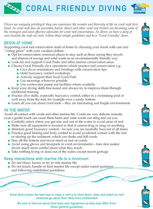 Coral Friendly Diving Guidelines - Click to Download