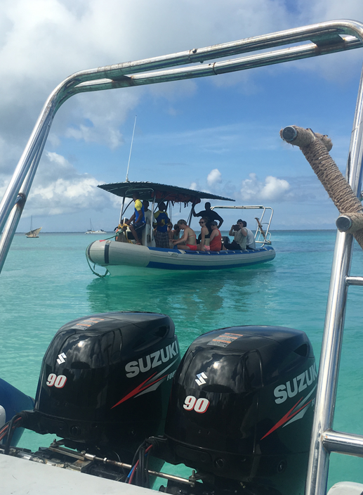 Our custom dive boats with roofs, ladders and double Suzuki four-stroke environmentally friendly engines