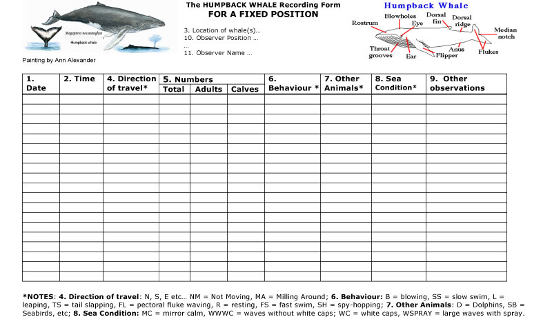 Humpback Whale Recording Form
