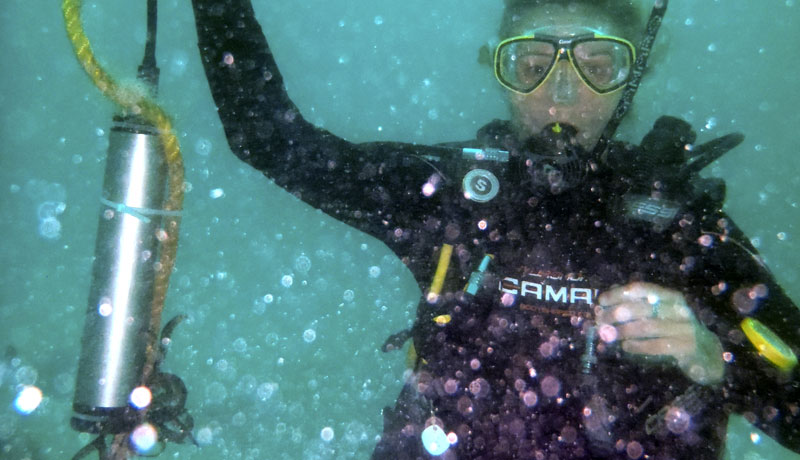 Hydrophone with Dr. Gill Braulik