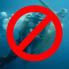 What NOT to do: person holding on to a sea turtle's shell in the ocean