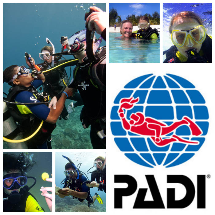 PADI Logo