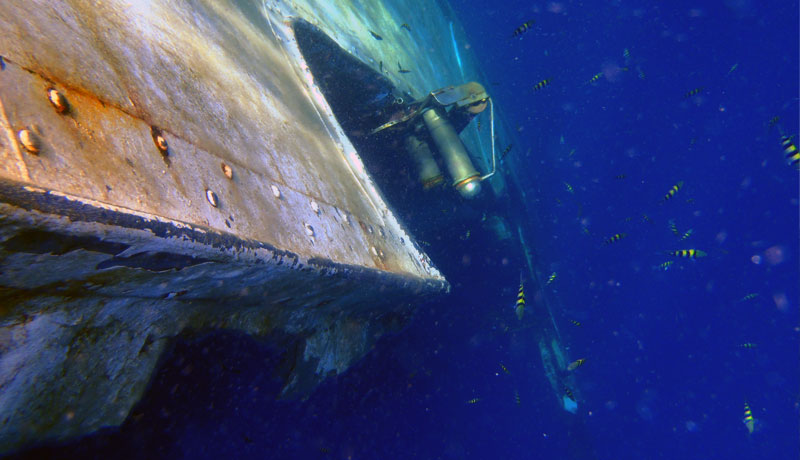Underwater picture of the floatin wreck