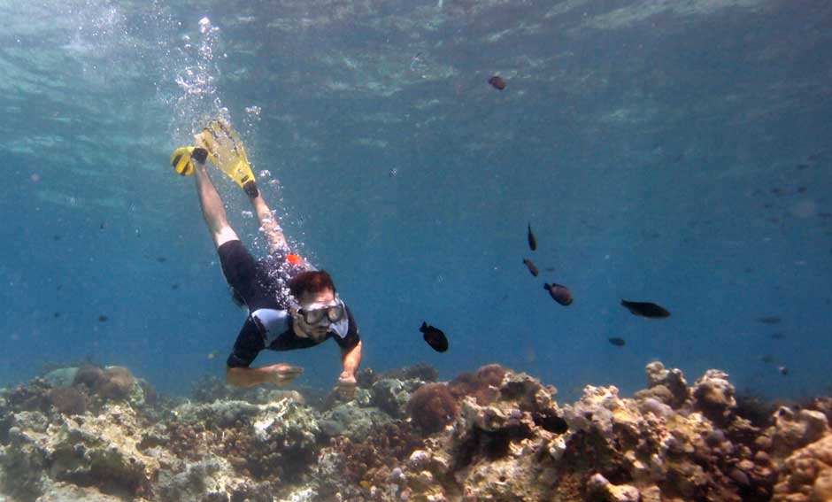 Snorkeller skindiving over reef next to fish