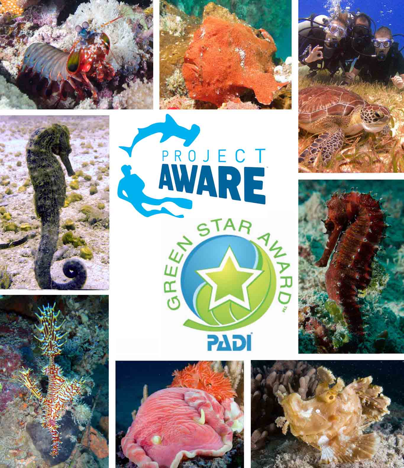 Project AWARE Logo and Link